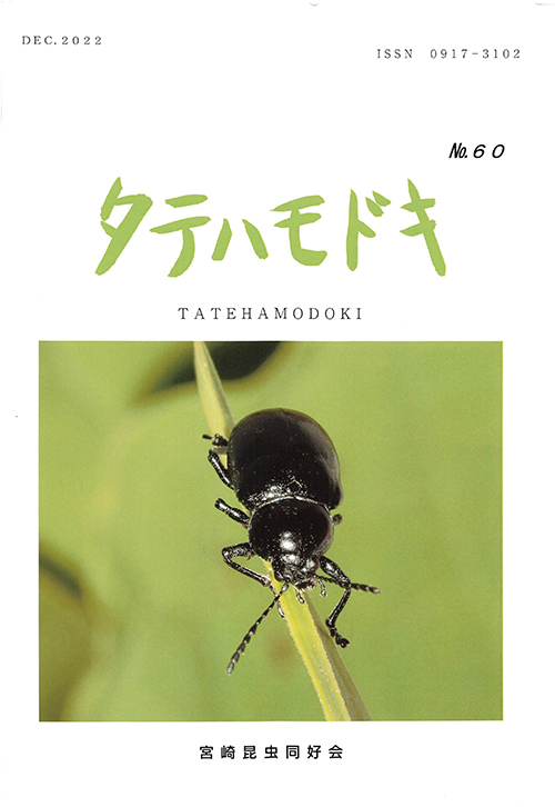 tatehamodoki060